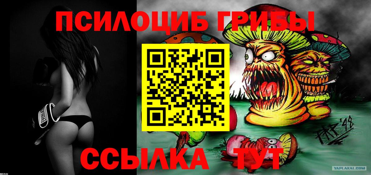 Псилоцибиновые грибы мицелий Кашира